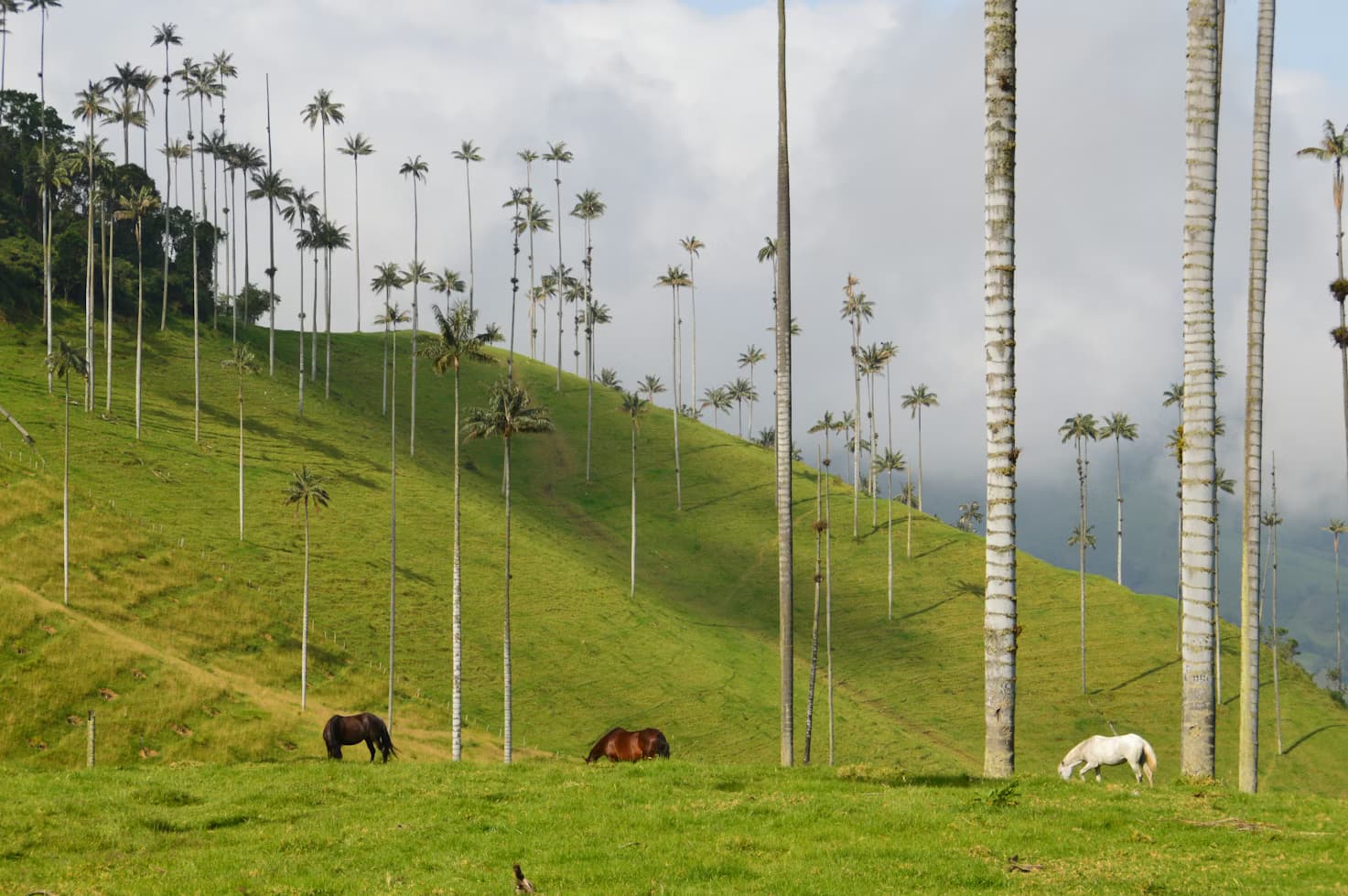 Colombia editorial photograph