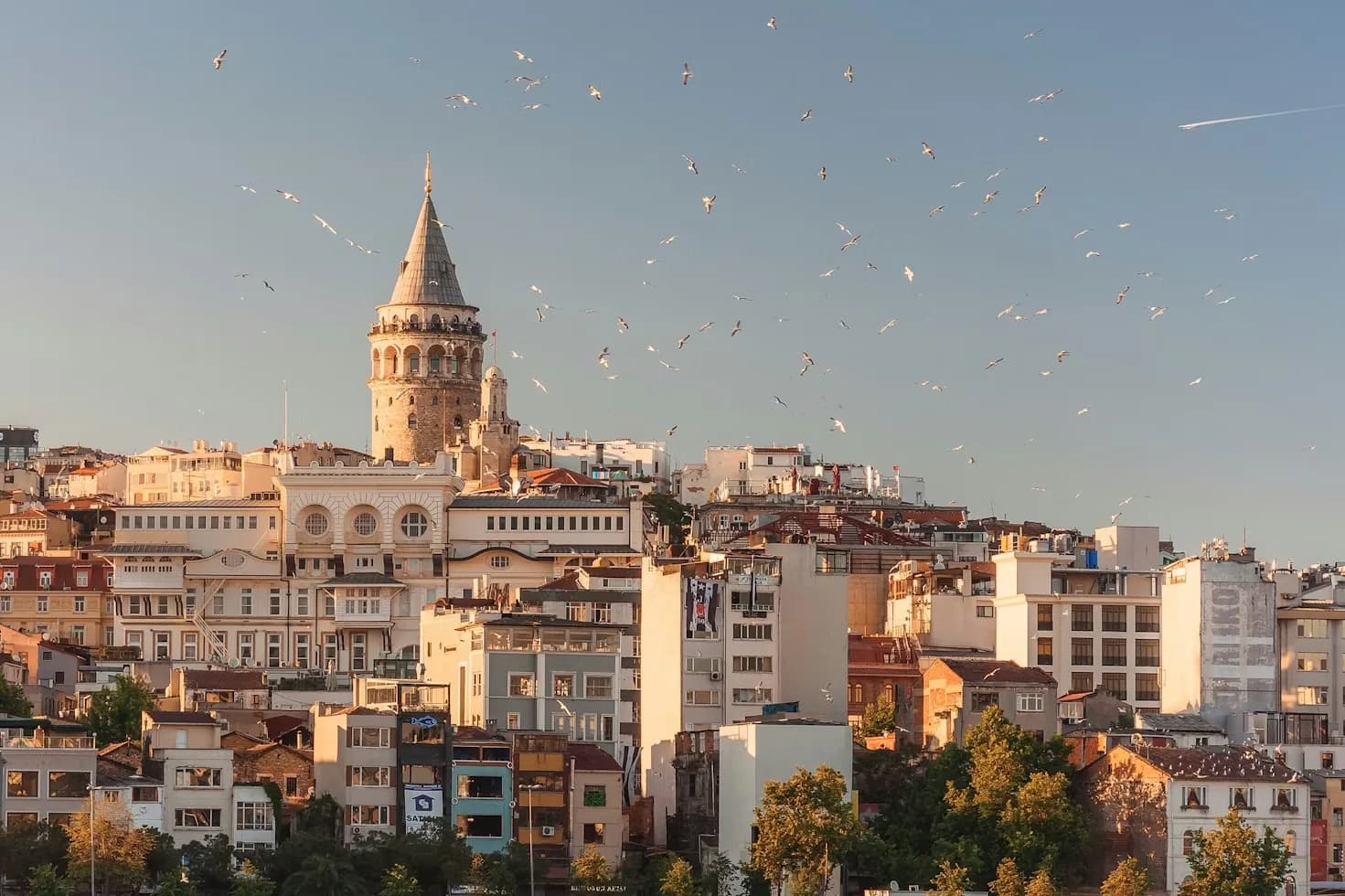 Turkey editorial photograph