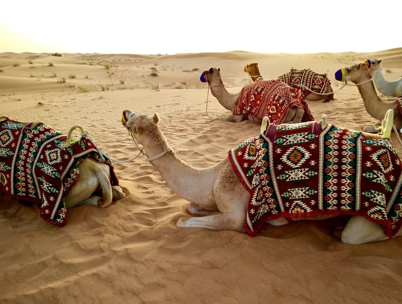 United Arab Emirates editorial photograph